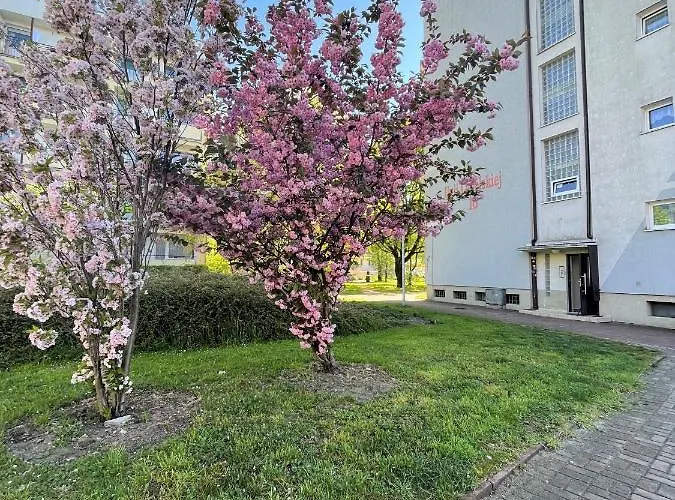 Al-dom Zaciszny Apartment